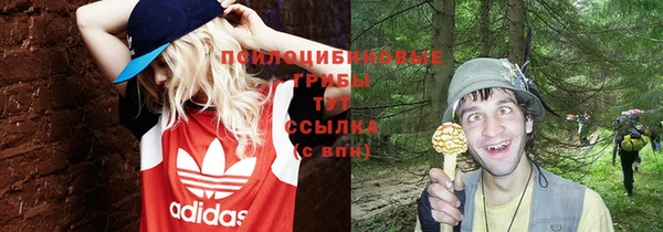 ГАЛЛЮЦИНОГЕННЫЕ ГРИБЫ Заводоуковск