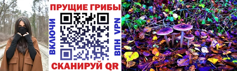 Галлюциногенные грибы Magic Shrooms  Вуктыл 